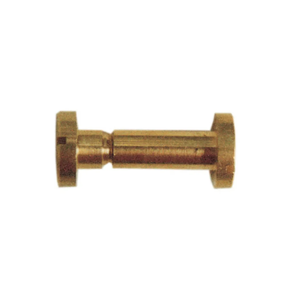 VITI A CANNOCCHIALE OTTONE D 6X30 MM* (100 VITI A CANNOCCHIALE OTTONE D 6X30 MM* (100