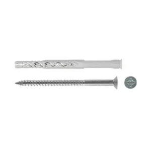 FISCHER TASSELLO SXRL-WT  8X 60 VITE TORX (50