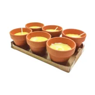 CITRONELLA IN COCCIO POLLICINO 7XH6 CM 6 PZ (24