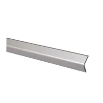 PARASPIGOLO 30X30 POLIST LISCIO 290 CM ARGENTO (10