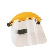 VISIERA PROTETTIVA POLICARB. PROFES. CE-EN166 CSP (10
