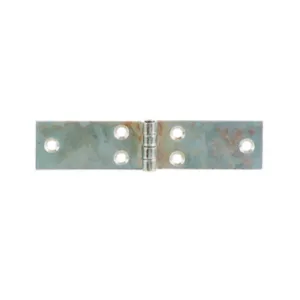 CERNIERA PERNO FISSO LUNGA ACC ZINC 120 X 28 MM (24