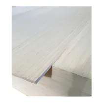 COMPENSATO DI PIOPPO 1000X610X 4 MM (10