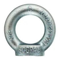 GOLFARI FEMMINA DIN 582 MA 10 ZINCATI (50