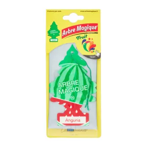 ARBRE MAGIQUE FRUIT ANGURIA (24