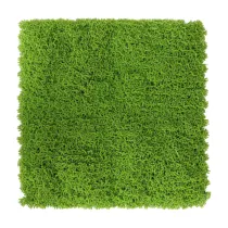 C SIEPE ARTIFICIALE PANNELLO 100X100CM GREEN (2