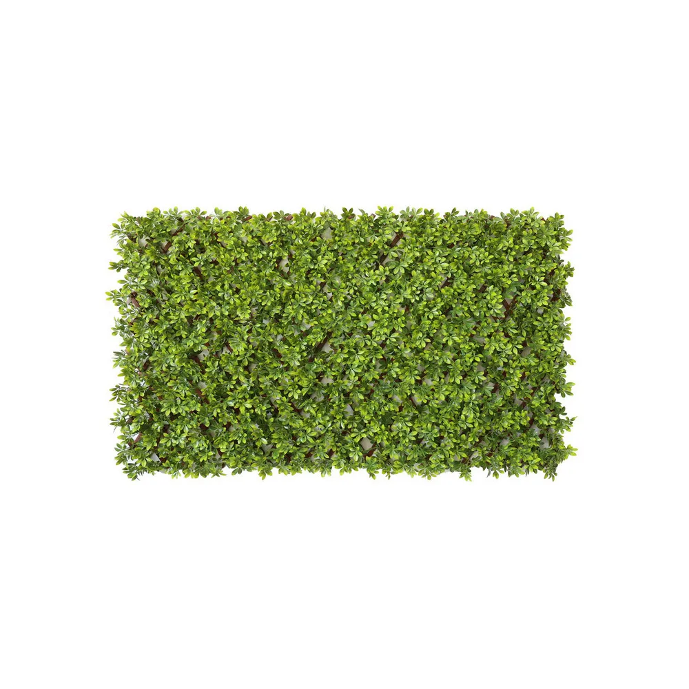 C SIEPE ARTIFICIALE PANNELLO 100X200CM BOSSO (2 C SIEPE ARTIFICIALE PANNELLO 100X200CM BOSSO (2