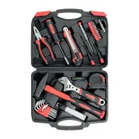 KIT DI ATTREZZI 42 PEZZI