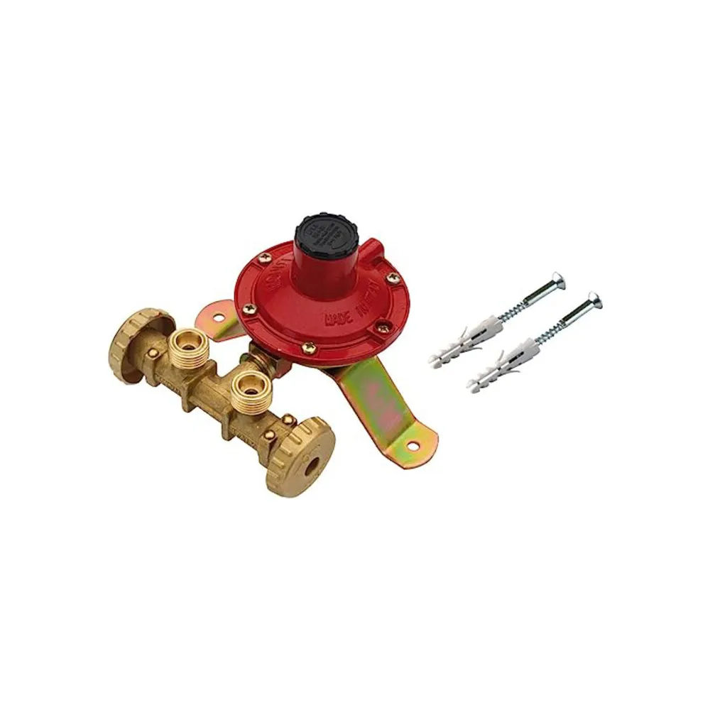 CENTRALINA P/GAS A 2 RUBIN 10 KG/H S/FLESS MIGN* CENTRALINA P/GAS A 2 RUBIN 10 KG/H S/FLESS MIGN*