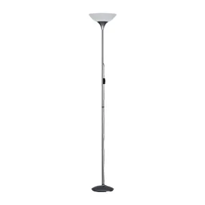 PIANTANA DEZWO ALLUMINIO ACRY E27 H 180 CM