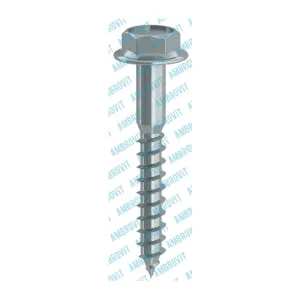 TIRAFONDO P/LEGNO TE FL 6 X 70MM ZINCATO (100