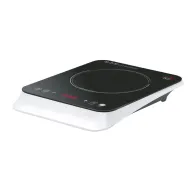 PIASTRA AD INDUZIONE EKP2430