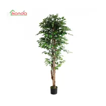 C PIANTA FICUS ARTIFICIALE 210 CM (2
