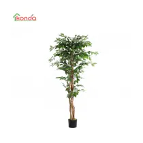 C PIANTA FICUS ARTIFICIALE 180 CM (2