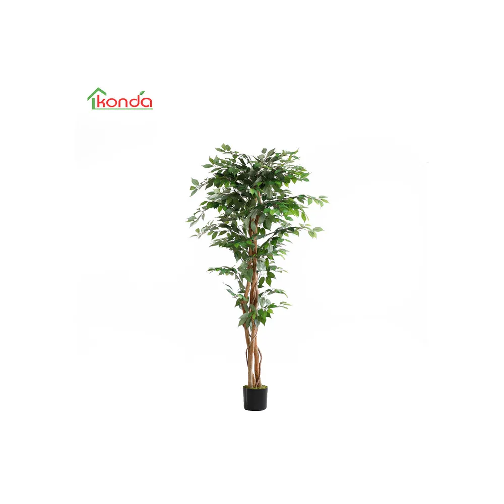 C PIANTA FICUS ARTIFICIALE 180 CM (2 C PIANTA FICUS ARTIFICIALE 180 CM (2