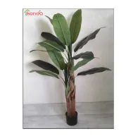 C PIANTA BANANA ARTIFICIALE 165 CM (4
