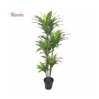 C PIANTA DRACENA ARTIFICIALE 170 CM (2