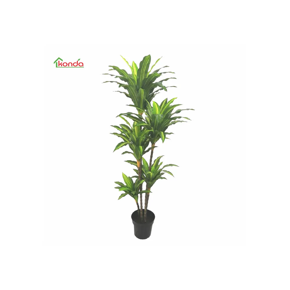 C PIANTA DRACENA ARTIFICIALE 170 CM (2 C PIANTA DRACENA ARTIFICIALE 170 CM (2