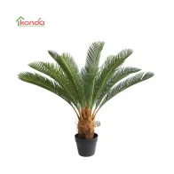 C PIANTA CYCAS ARTIFICIALE 85 CM (2