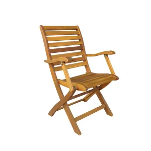 SEDIA LEGNO PIEGHEVOLE C/BRACCIOLI 56X60XH90CM (2