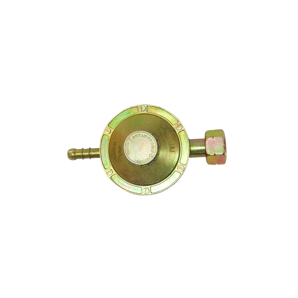REGOLATORE GAS TARATURA VARIABILE PROJECT REGOLATORE GAS TARATURA VARIABILE PROJECT