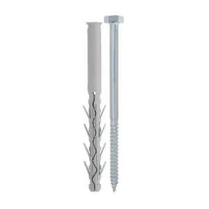 FRIULSIDER TASSELLO TUP4 C/VITE TE 10X160 (50