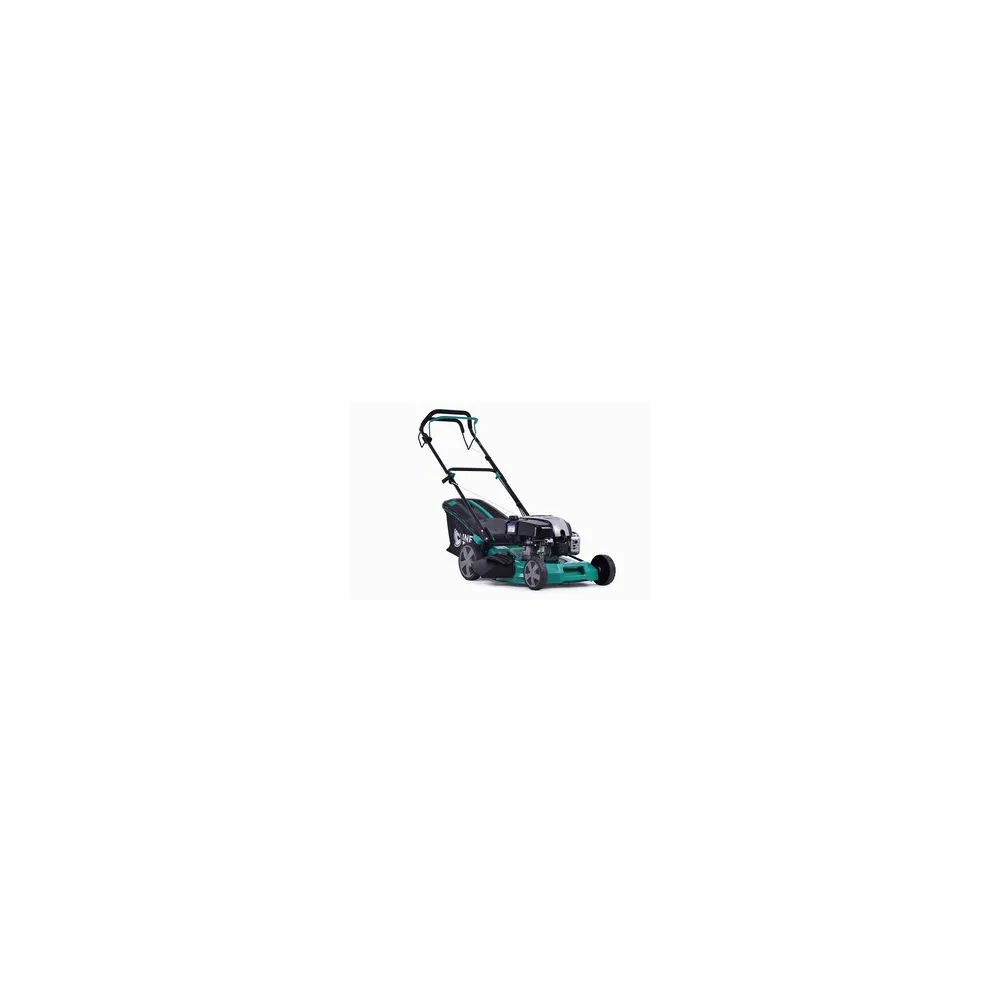 C RASAERBA SEMOVENTE E-V BRIGGS 4T TAGLIO 51CM 4IN1 BS LAWN 161CC C RASAERBA SEMOVENTE E-V BRIGGS 4T TAGLIO 51CM 4IN1 BS LAWN 161CC