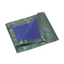 C TELO OCCHIELLATO PE 4 X 5M 110GR VERDE/BLU