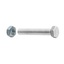SC VITI A METALLO TESTA ESAG 12X100 ZINC C/DADO  2PZ