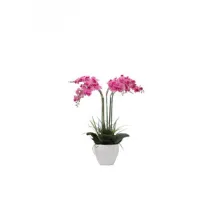 C ORCHIDEA C/VASO BIANCO 60 CM