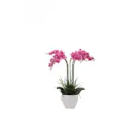C ORCHIDEA C/VASO BIANCO 60 CM