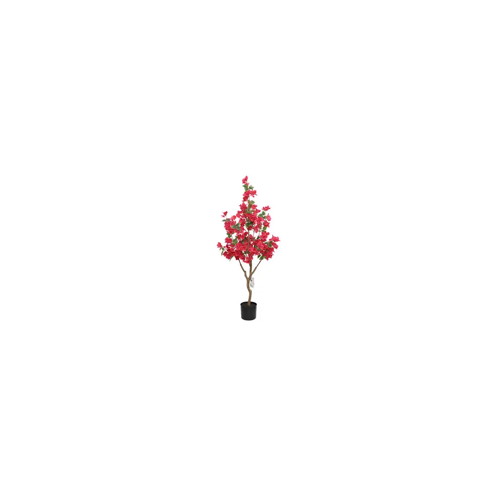 C BOUGANVILLEA 120 CM (4