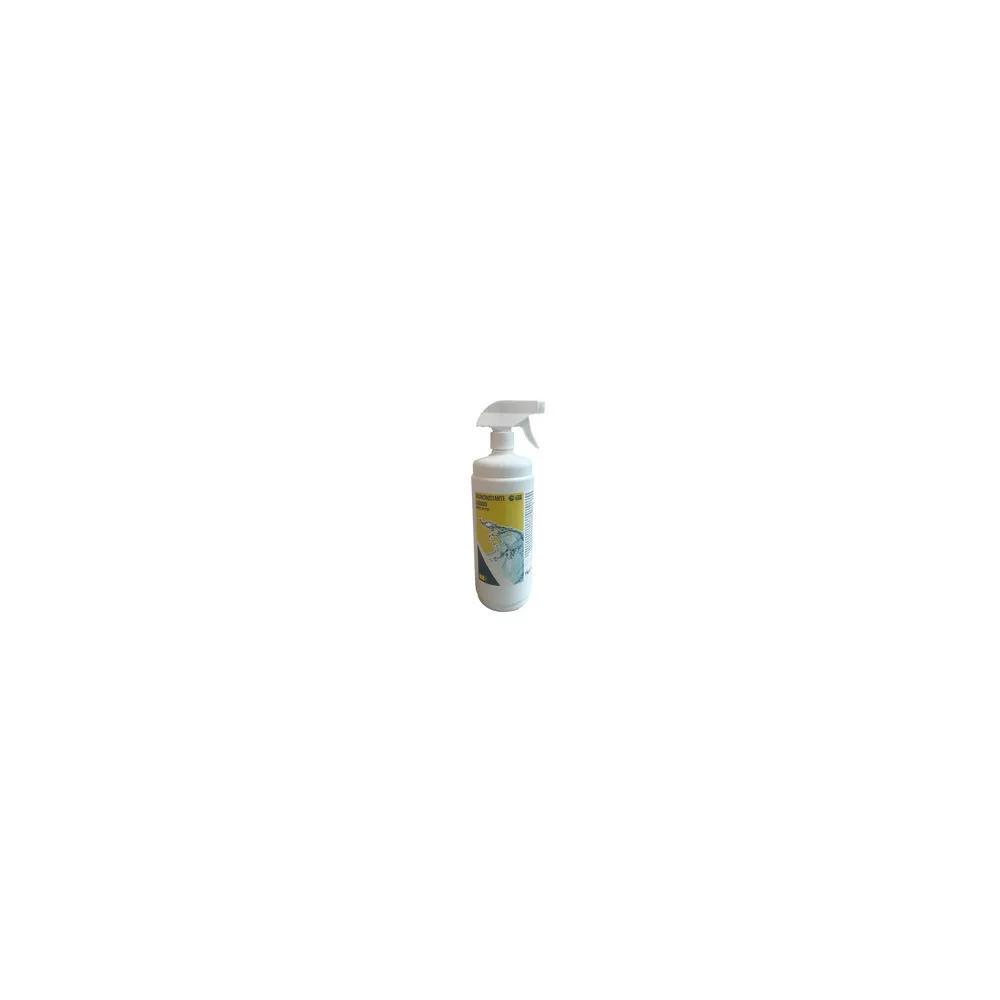 C DISINCROSTANTE PISCINA LIQUIDO 1 KG C DISINCROSTANTE PISCINA LIQUIDO 1 KG