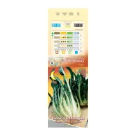 SEMI ORTO CICORIA PUNTARELLE (10