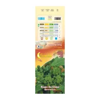 SEMI ORTO CIMA DI RAPA QUARANTINA (10