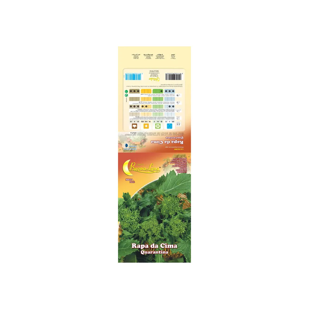 SEMI ORTO CIMA DI RAPA QUARANTINA (10