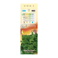 SEMI ORTO CIMA DI RAPA NOVANTINA (10