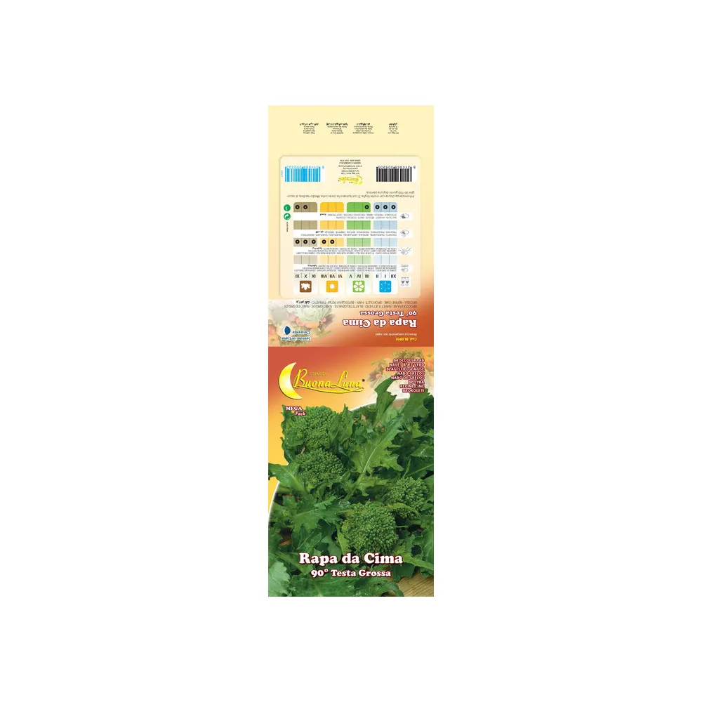 SEMI ORTO CIMA DI RAPA NOVANTINA (10