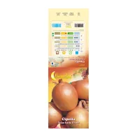 SEMI ORTO CIPOLLA TEXAS (10