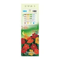 SEMI GARDEN NASTURZIO RAMPICANTE (10