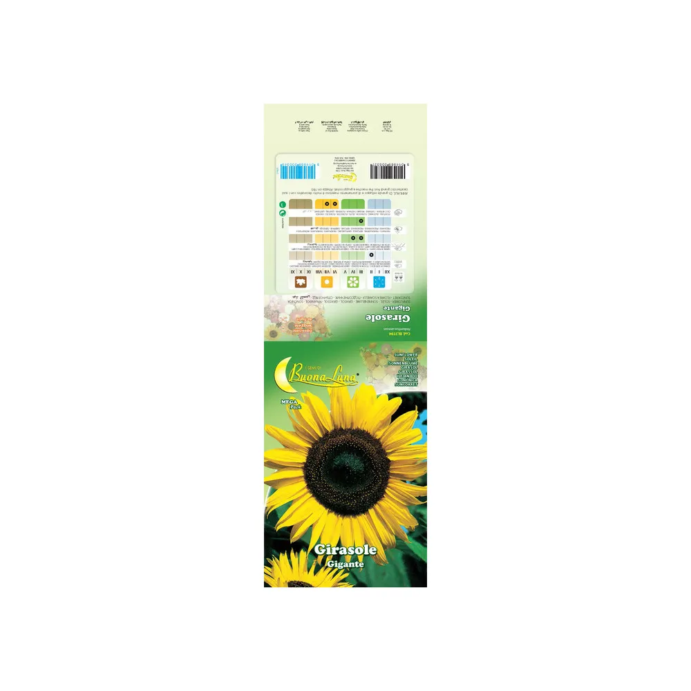 SEMI GARDEN GIRASOLE GIGANTE (10