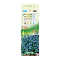 SEMI GARDEN MYOSOTIS (10