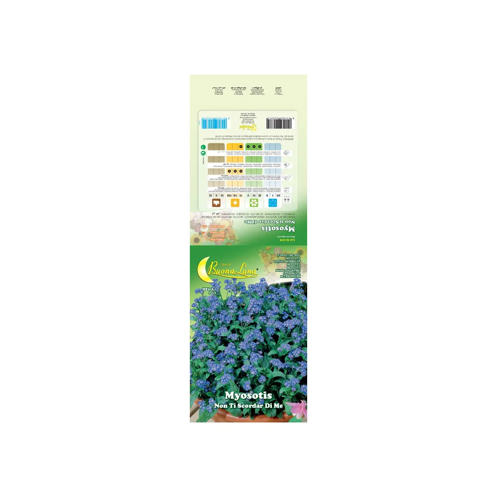 SEMI GARDEN MYOSOTIS (10