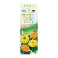 SEMI GARDEN TAGETE NANO (10