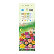 SEMI GARDEN ZINNIA LILLIPUT (10