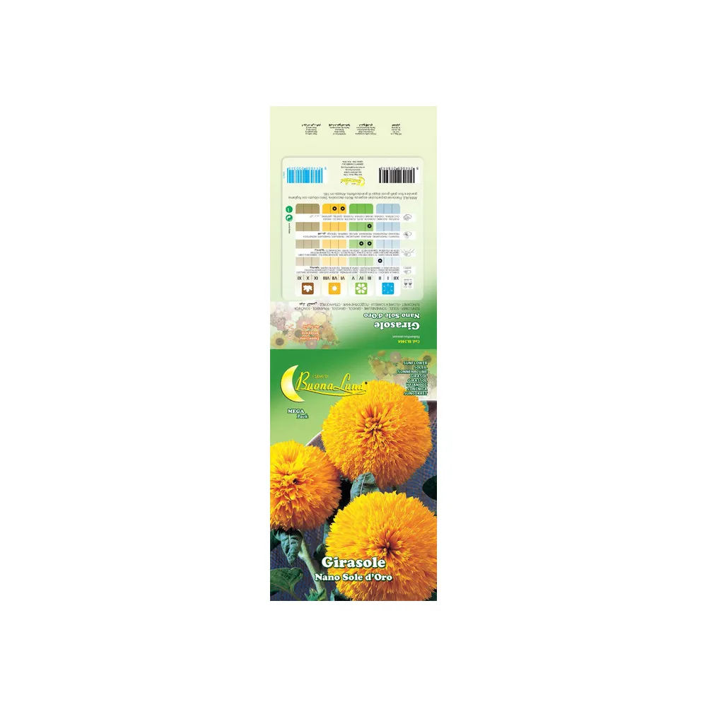 SEMI GARDEN GIRASOLE BAMBINO NANO (10