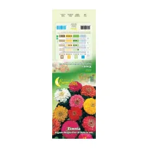 SEMI GARDEN ZINNIA GIGANTE (10