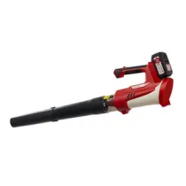 SOFFIATORE  A BATTERIA 21V VENTO S/BATT