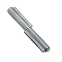 CERNIERA P/FERRO 2 ALI PERNO ACCIAIO 100 MM* (24