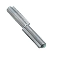 CERNIERA P/FERRO 2 ALI PERNO ACCIAIO 100 MM* (24